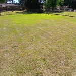 Recent home