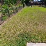 Recent home
