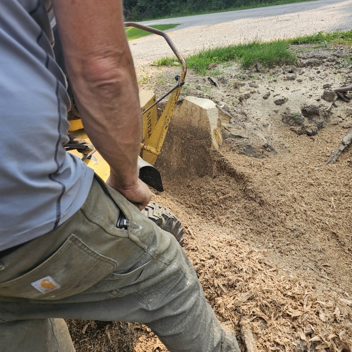 stump removal