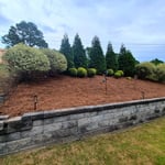 Backyard maintenance