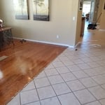 Vinyl plank floor!