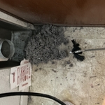 Dryer Vent Cleaning