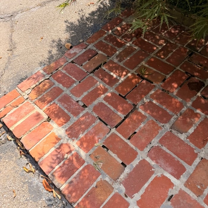 Tuck point paver repair