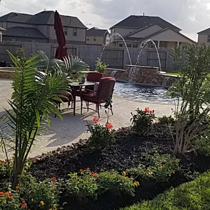 Pool and Landscape