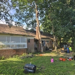 Tree trimming.