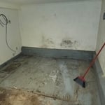 Basement Deep Clean