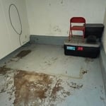 Basement Deep Clean