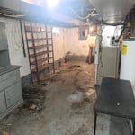 Basement Deep Clean