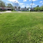 Lawn Mowing
