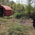 Property clean up