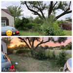 Major Lawn Cleanup