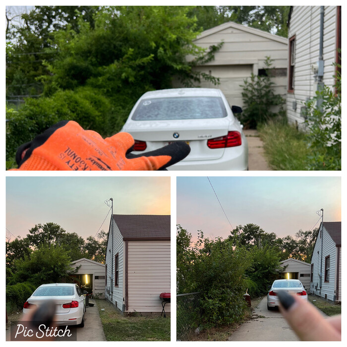 Major Lawn Cleanup