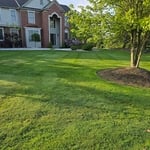 Lawn Care
