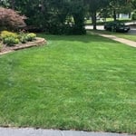 Fertilization/Weed Cont.