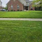 Lawn Care