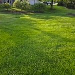 Lawn Care