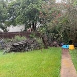 Junk removal in backyard