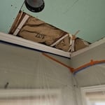 Mold Resistant