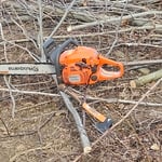 Tree cutting