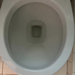 Toilet Cleaning