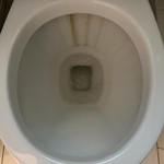 Toilet Cleaning