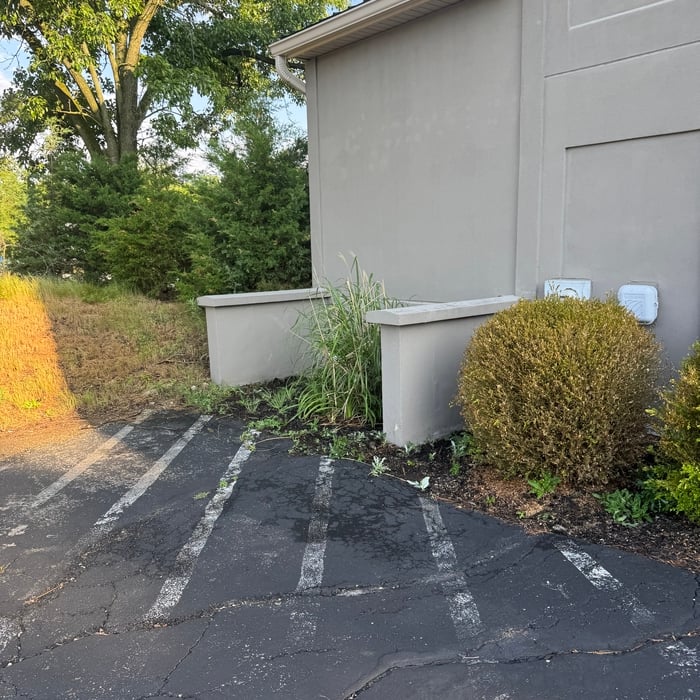 Mulching Service