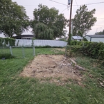 Shed Removal