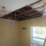 Mitigation services