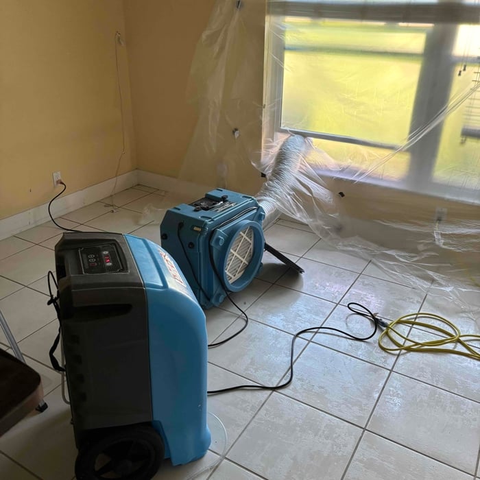 Mitigation services