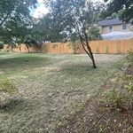 Custom Fence Build