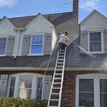 Paiting service