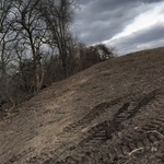 Land Clearing