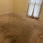 Floor Install