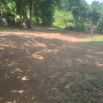 Lawn grading
