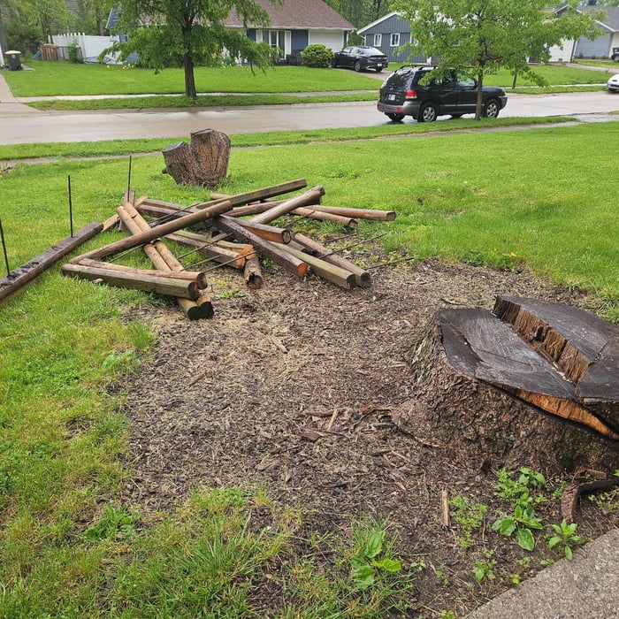 Yard Removal