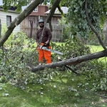 Auston cutting limbs