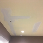Ceiling Repair After