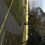 Audubon zoo sidewalks