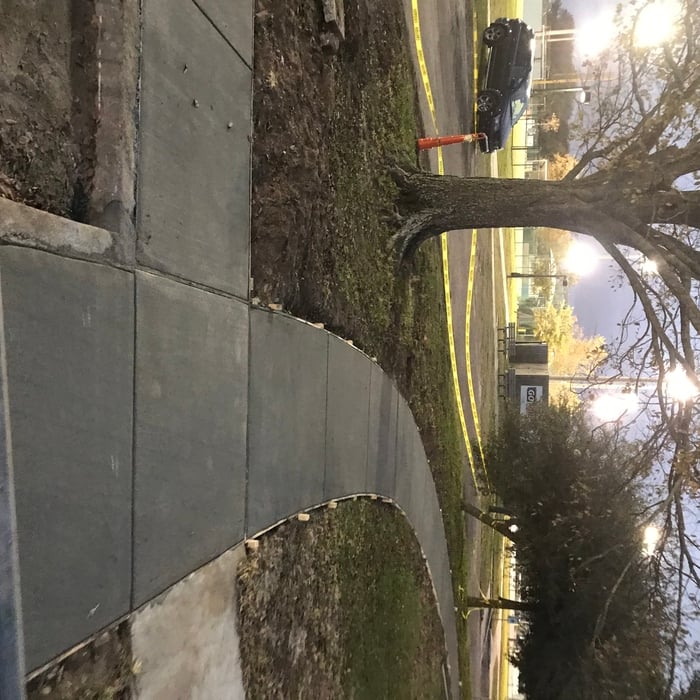 Audubon zoo sidewalks
