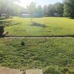 Customer lawn