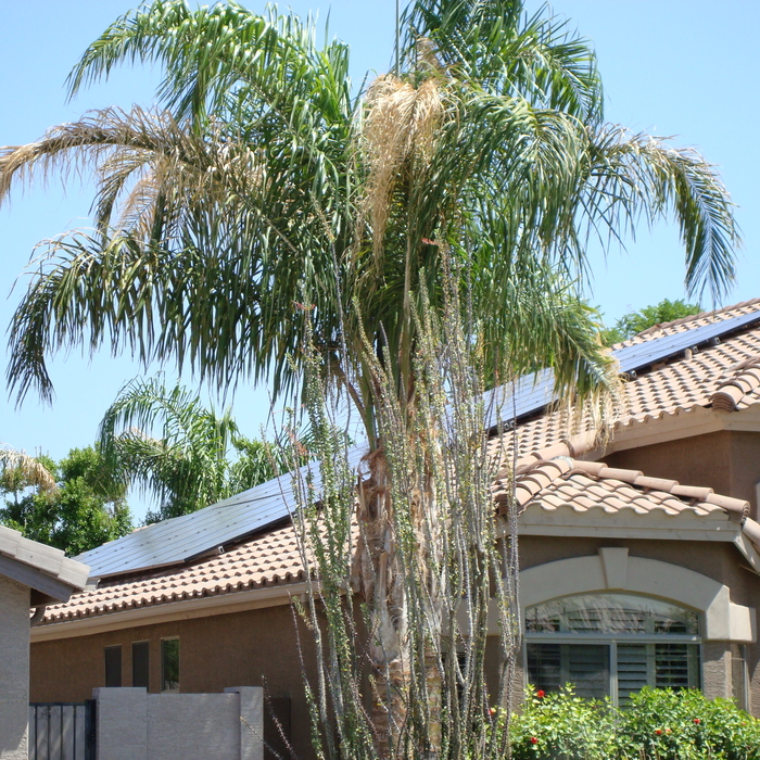 Solar 5
