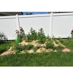 Dirt removal