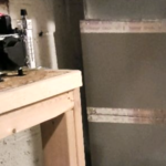 Mold Testing