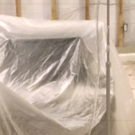 Mold Testing