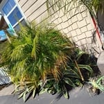 An easing easement