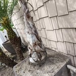 An easing easement