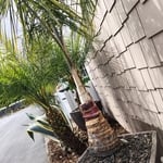 An easing easement