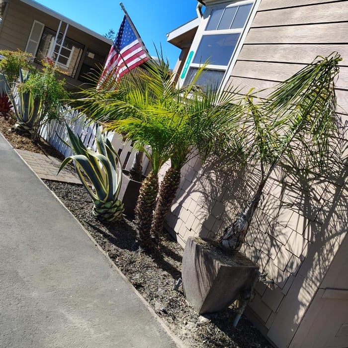 An easing easement
