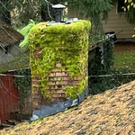 Roof cleaning