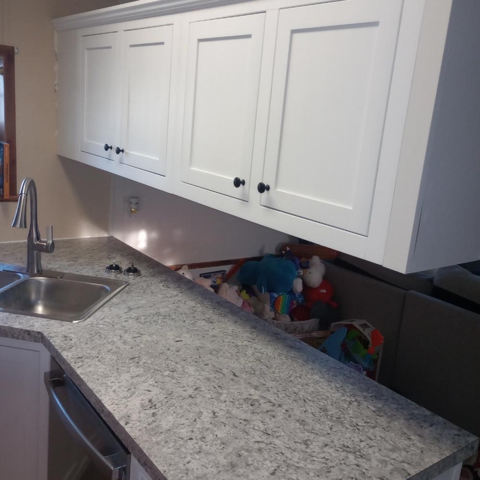 Cabinet and countertop